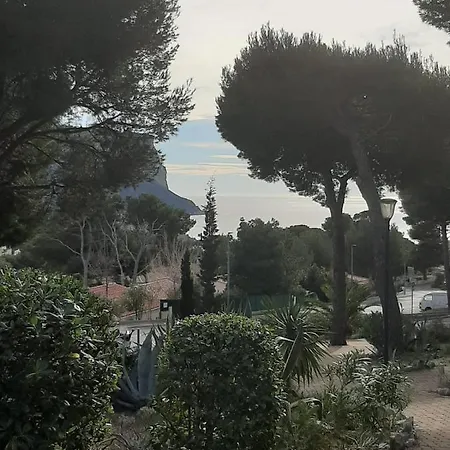 Marguerite Cassis